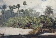 Winslow Homer In a Florida Jungle (mk44) oil on canvas